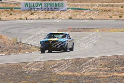 media/Oct-25-2025-West Coast Racing (Sat) [[9fdcbcd09c]]/Yellow group/Turn 4/